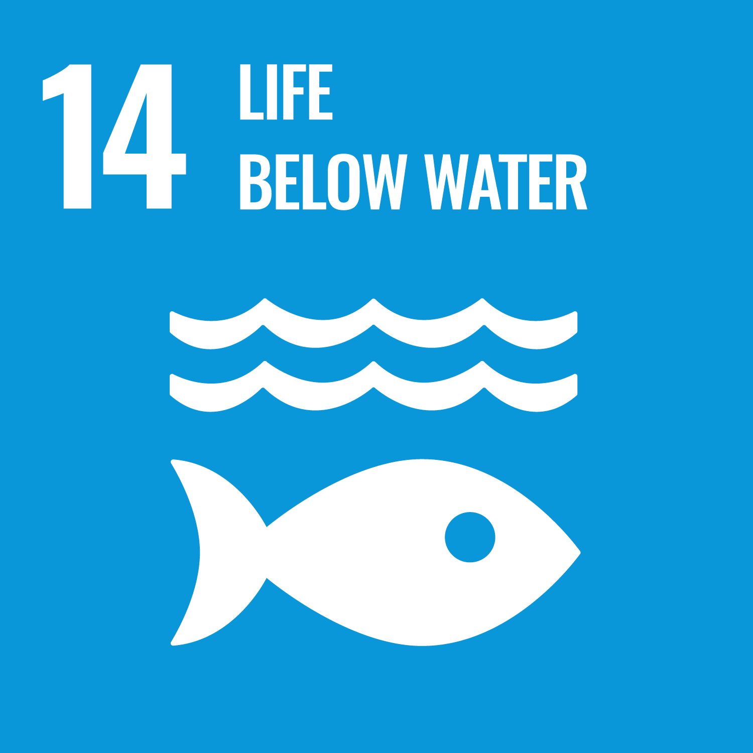 E Web Goal 14