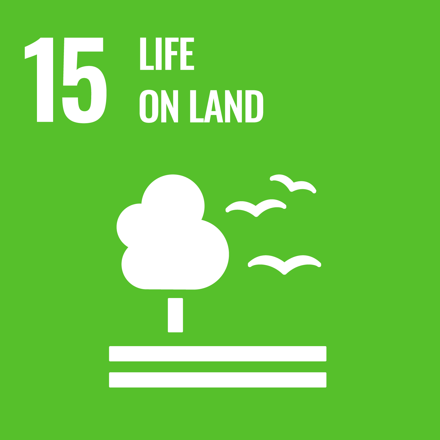 E Web Goal 15
